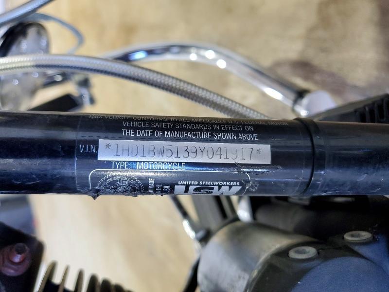 2009 Harley-Davidson Flstc