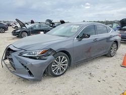 Salvage cars for sale from Copart Houston, TX: 2019 Lexus Es 350
