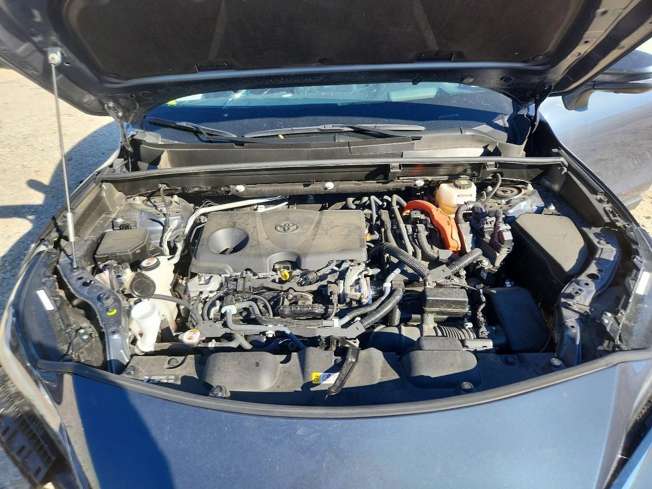 2021 Toyota Venza le