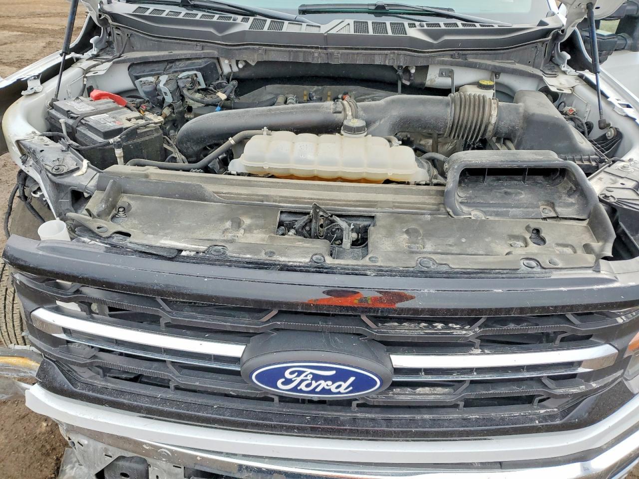 2024 Ford F150 xlt