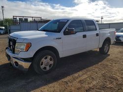 2014 Ford F150 Supercrew for sale in Kapolei, HI