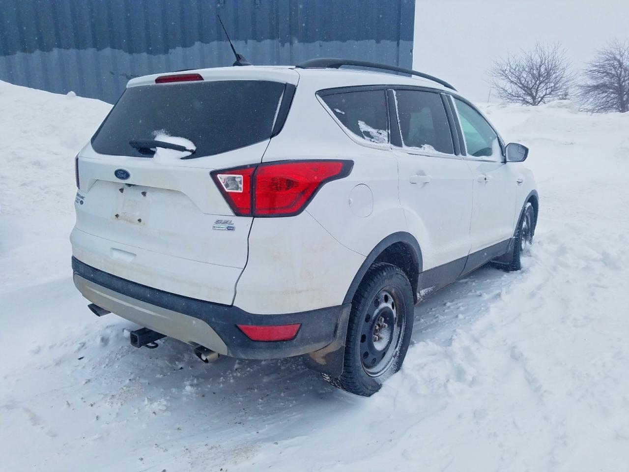 2019 Ford Escape sel