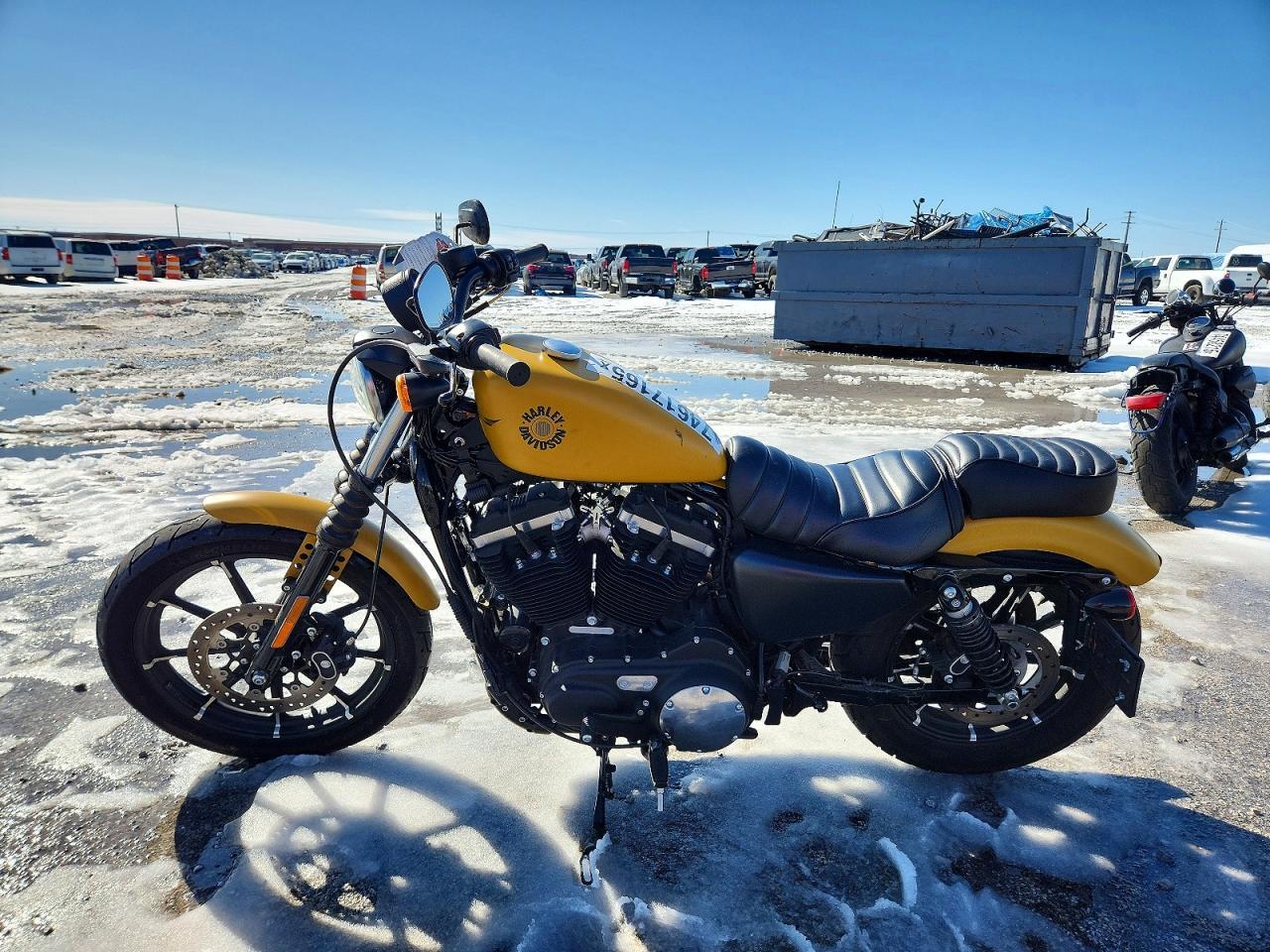 2019 Harley-Davidson XL883 N