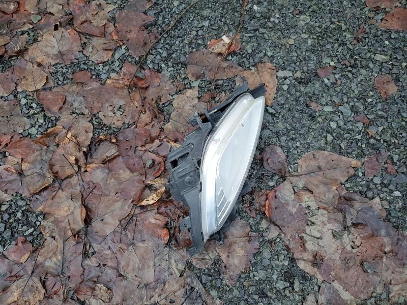 2013 Hyundai Elantra Coupe gs