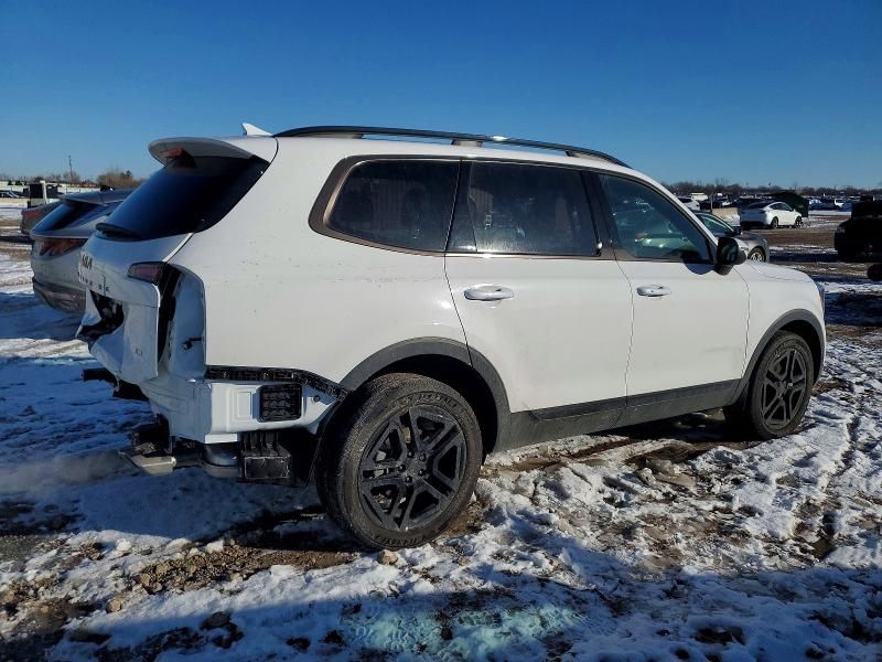 2025 KIA Telluride ex