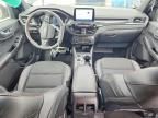 2024 Ford Escape st Line