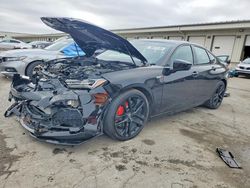 Salvage cars for sale from Copart Louisville, KY: 2025 Acura Tlx Type s