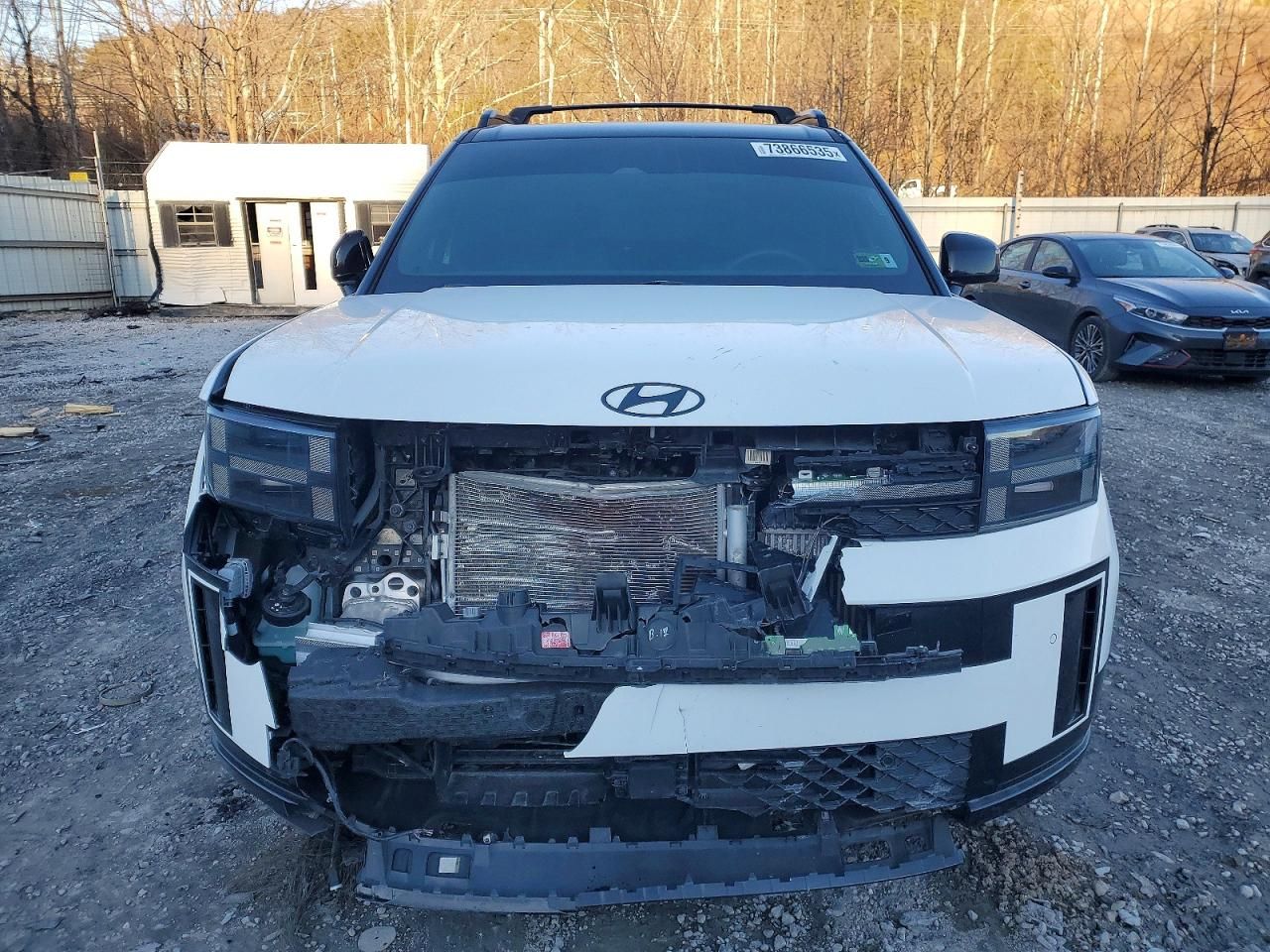 2024 Hyundai Santa fe Calligraphy