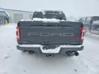 2023 Ford F150 Raptor
