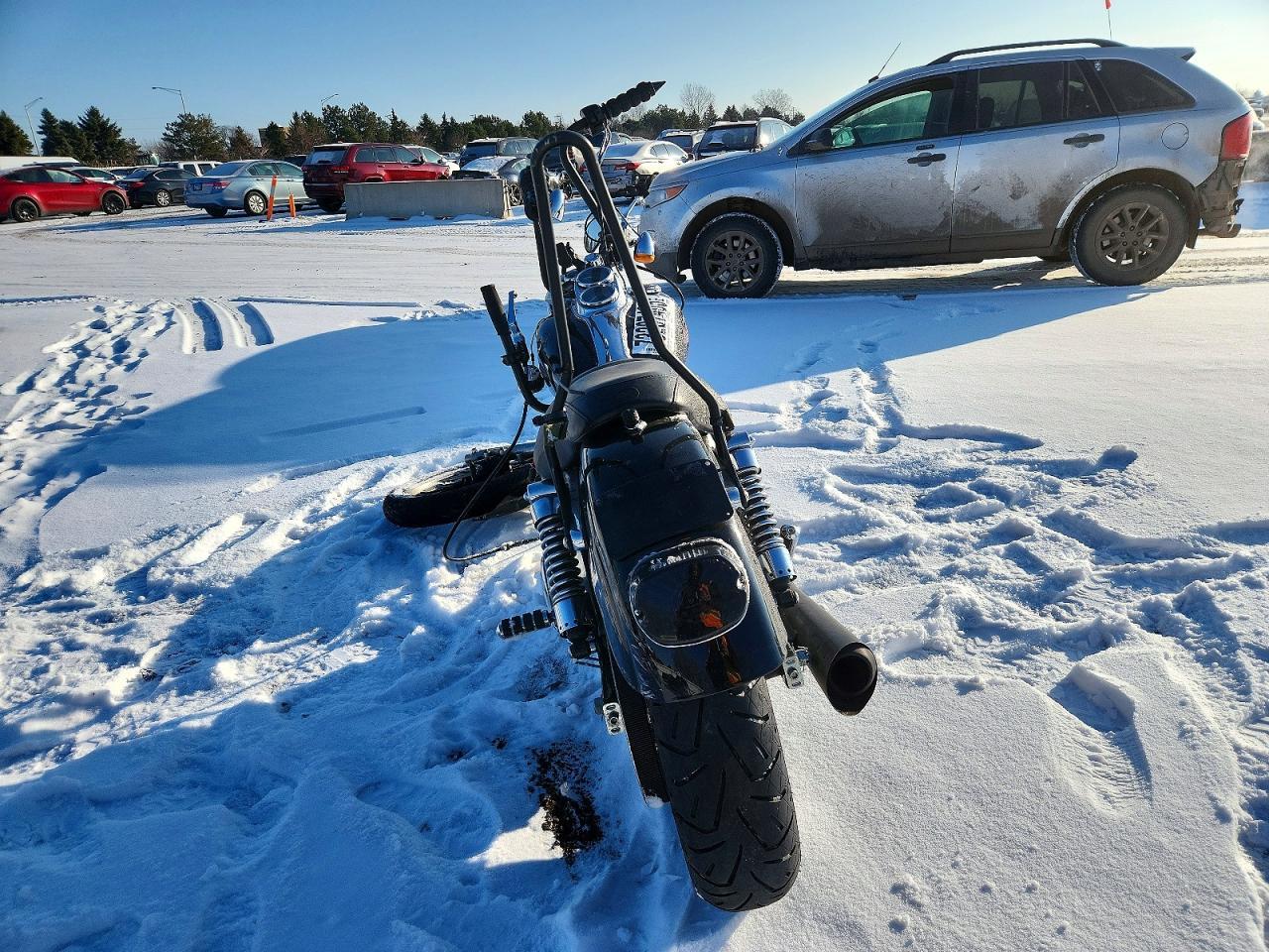 2004 Harley-Davidson Fxdli