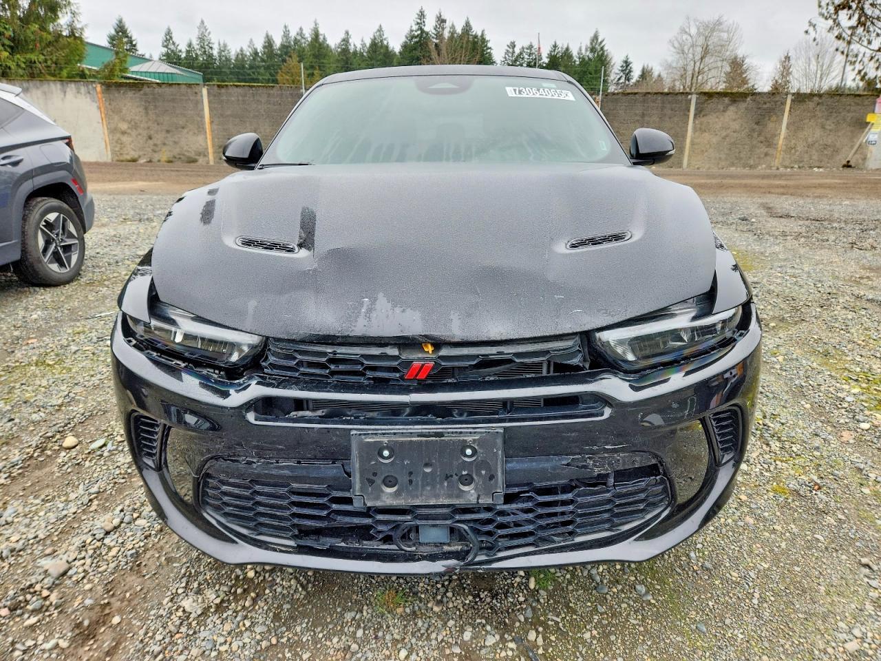 2024 Dodge Hornet r