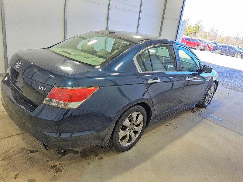 2010 Honda Accord exl