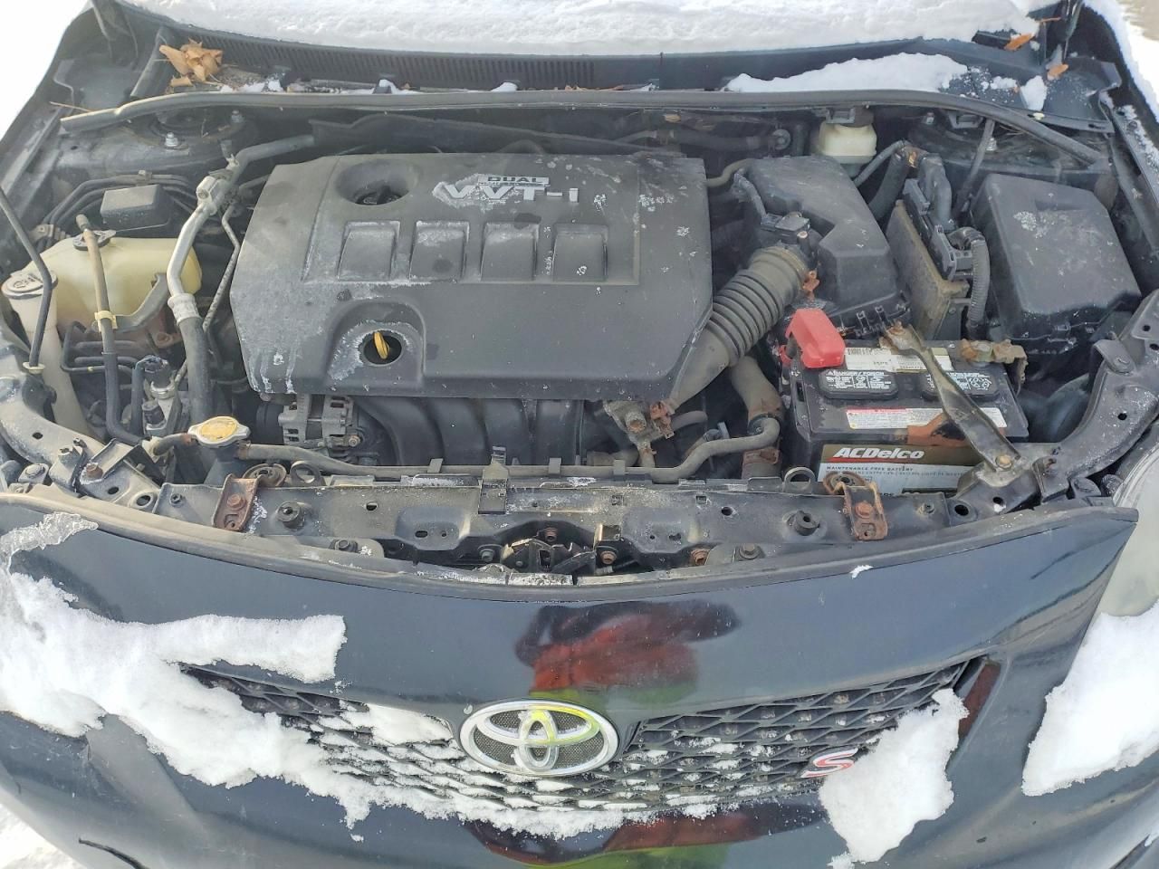 2010 Toyota Corolla Base