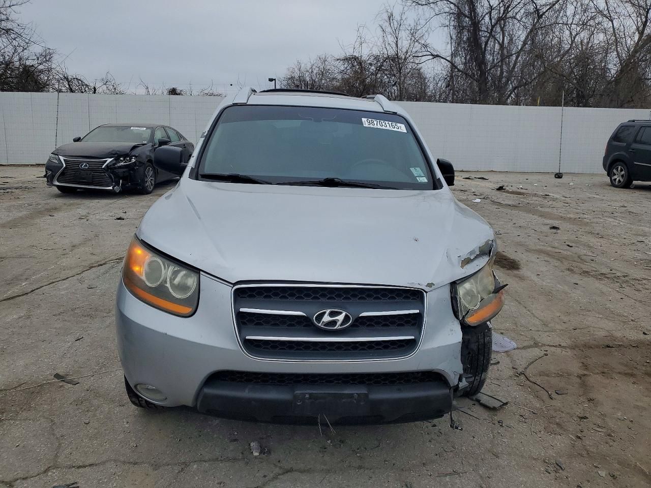2009 Hyundai Santa fe se