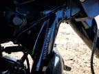2019 Harley-Davidson Fltrxs