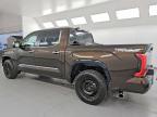 2025 Toyota Tundra 1794 Edition