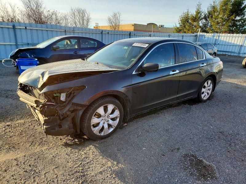 2011 Honda Accord exl