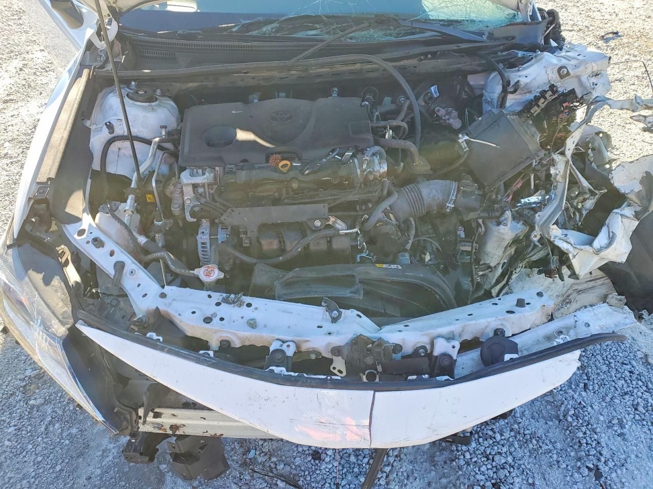 2023 Toyota Camry le