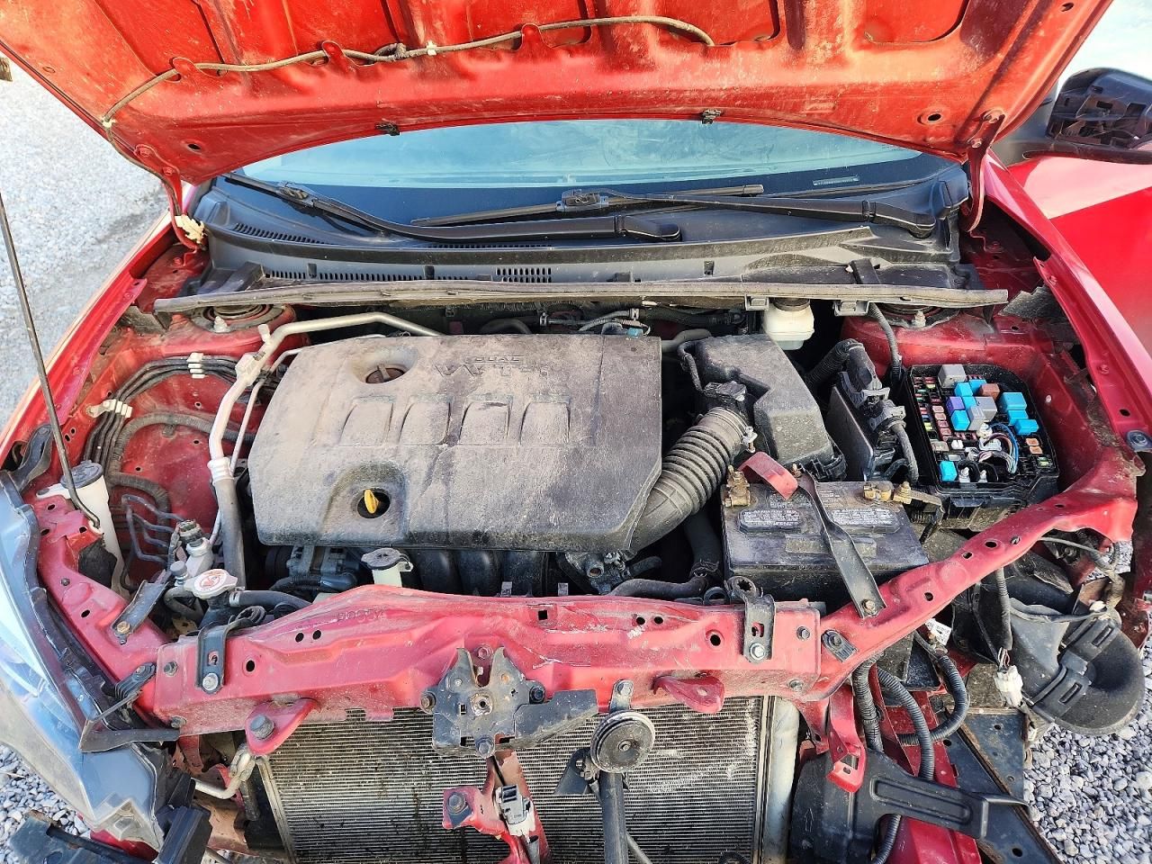 2019 Toyota Corolla l