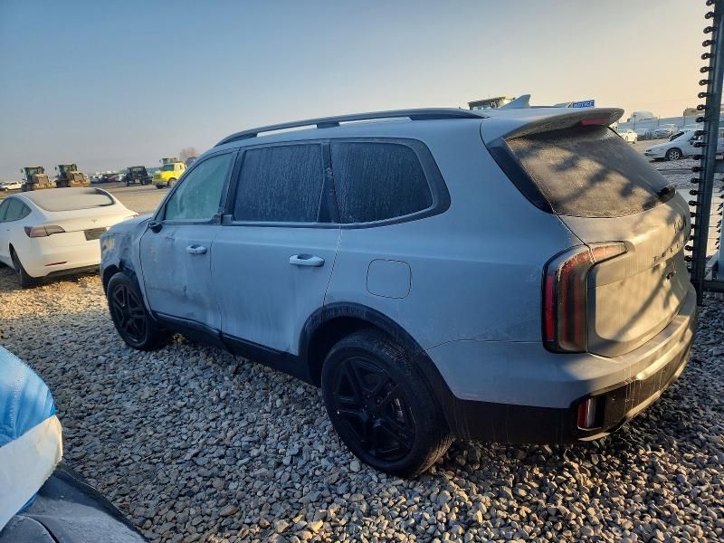 2025 KIA Telluride ex