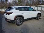 2023 Hyundai Tucson Blue
