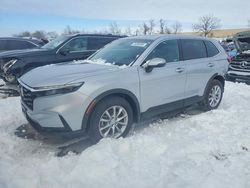 Honda salvage cars for sale: 2026 Honda Cr-v ex