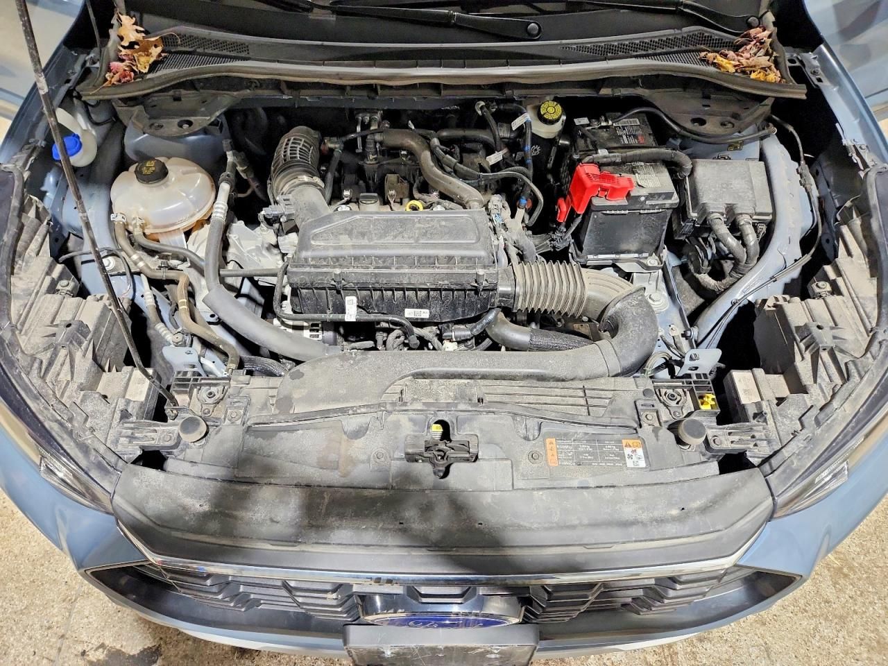 2024 Ford Escape st Line