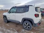 2020 Jeep Renegade Trailhawk