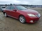 2010 Lexus Es 350 Base