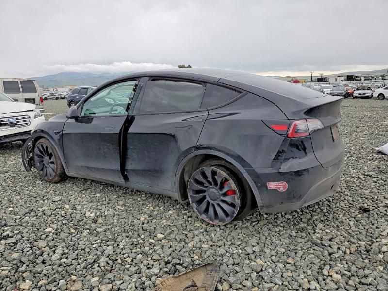 2022 Tesla Model y