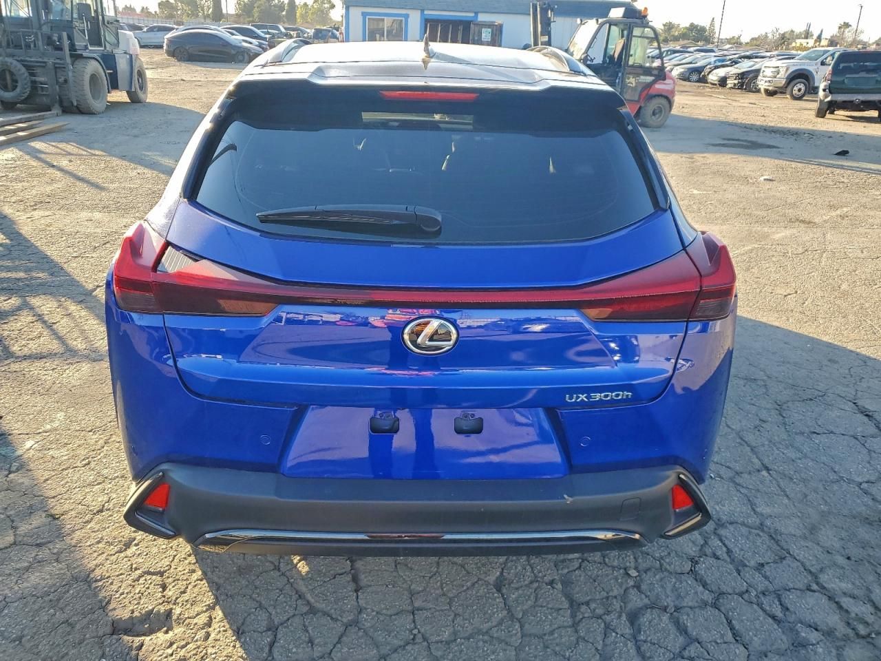 2025 Lexus Ux 300h Base