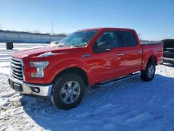 Ford salvage cars for sale: 2017 Ford F150 Supercrew