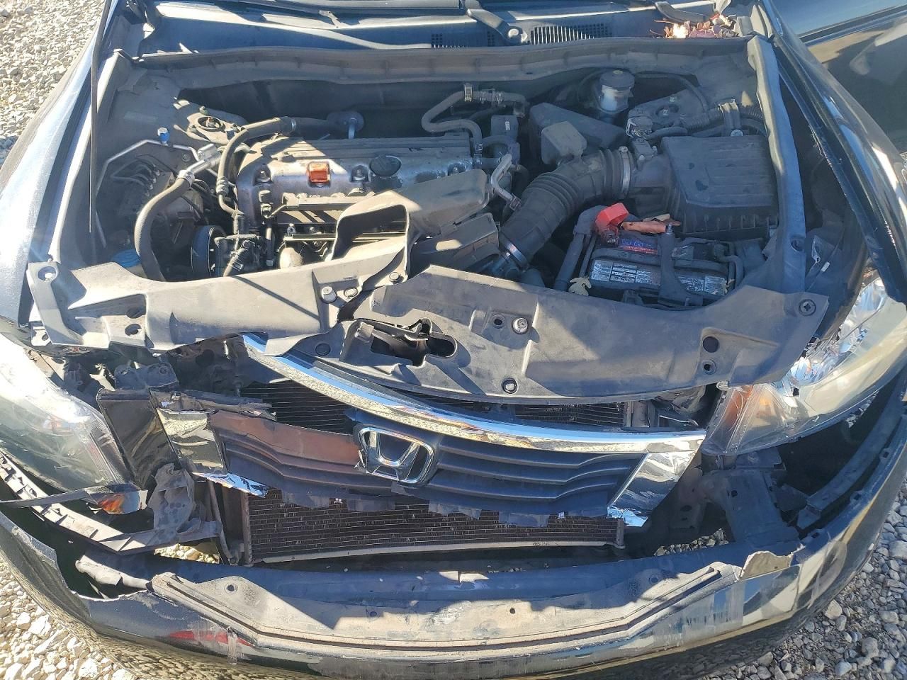 2010 Honda Accord lx