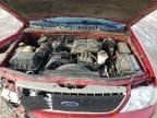 2004 Ford Explorer Eddie Bauer