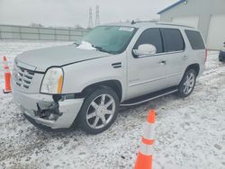Cadillac Escalade Vehiculos salvage en venta: 2013 Cadillac Escalade Luxury