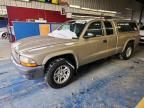 2003 Dodge Dakota sxt