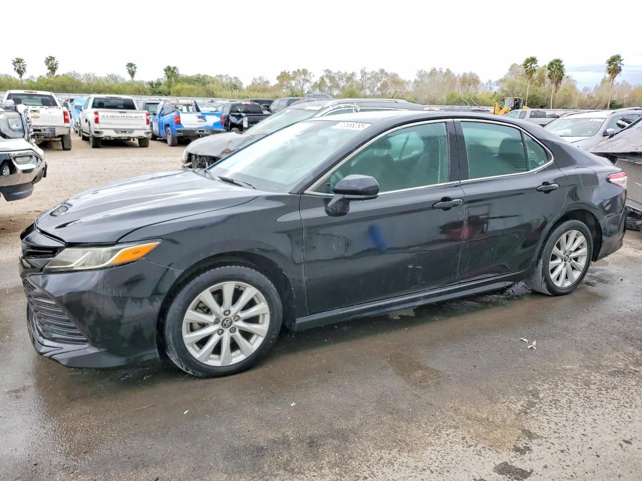 2019 Toyota Camry l
