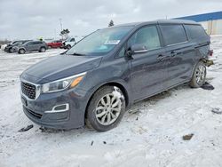 KIA Sedona lx salvage cars for sale: 2020 KIA Sedona lx