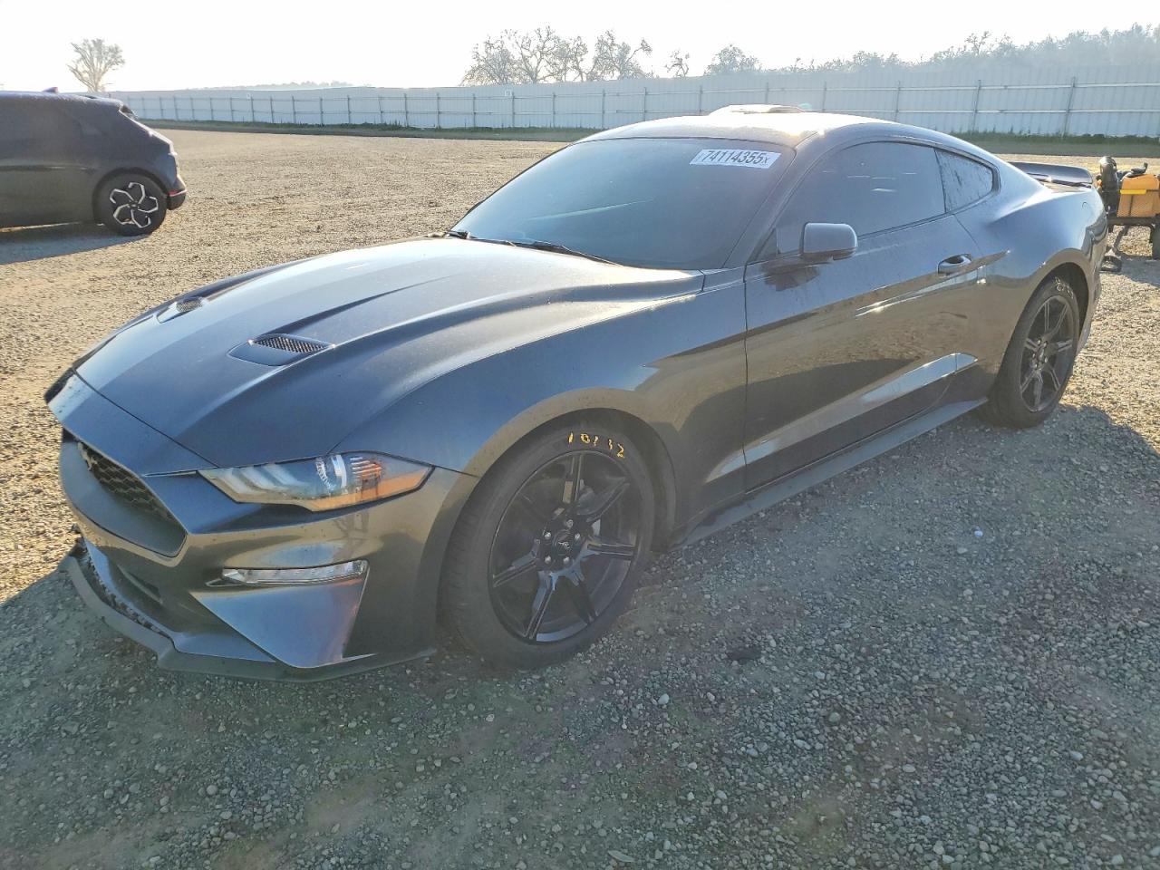 2019 Ford Mustang