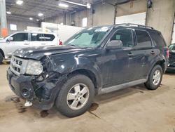 Salvage cars for sale from Copart Blaine, MN: 2012 Ford Escape xlt