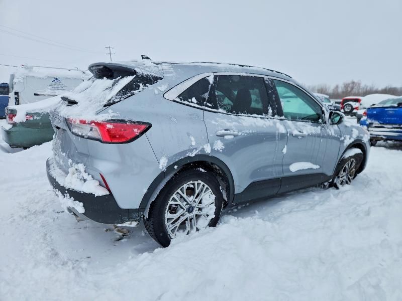 2021 Ford Escape sel