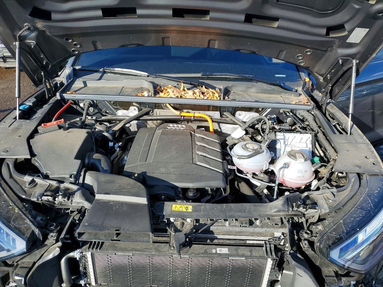 2024 Audi Q5 e Premium Plus 55