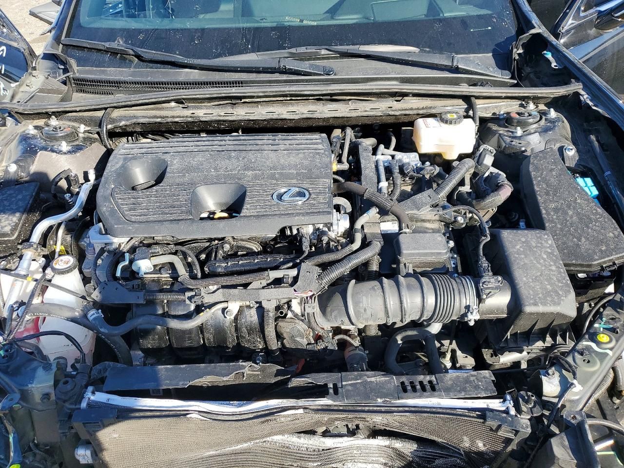 2025 Lexus Es 300h Base