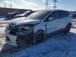 2013 Ford Escape SEL en venta en Elgin, IL