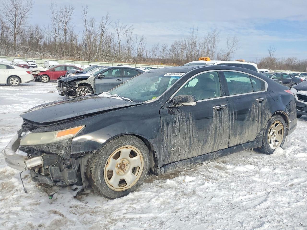 2010 Acura TL