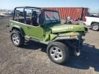 1993 Jeep Wrangler / yj Sahara