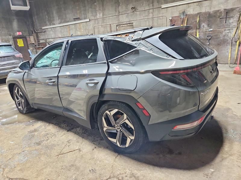 2024 Hyundai Tucson sel