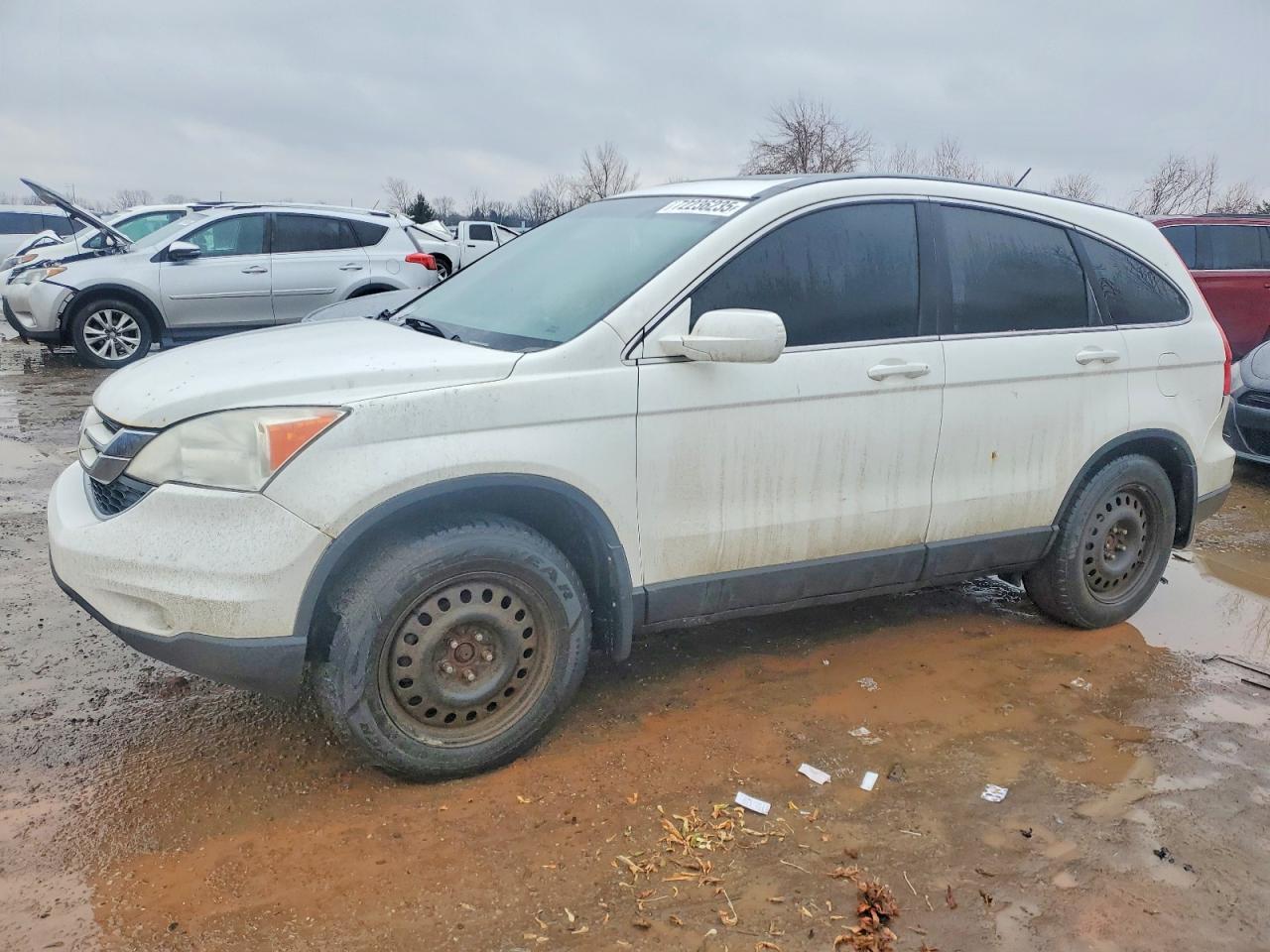 2010 Honda Cr-v exl