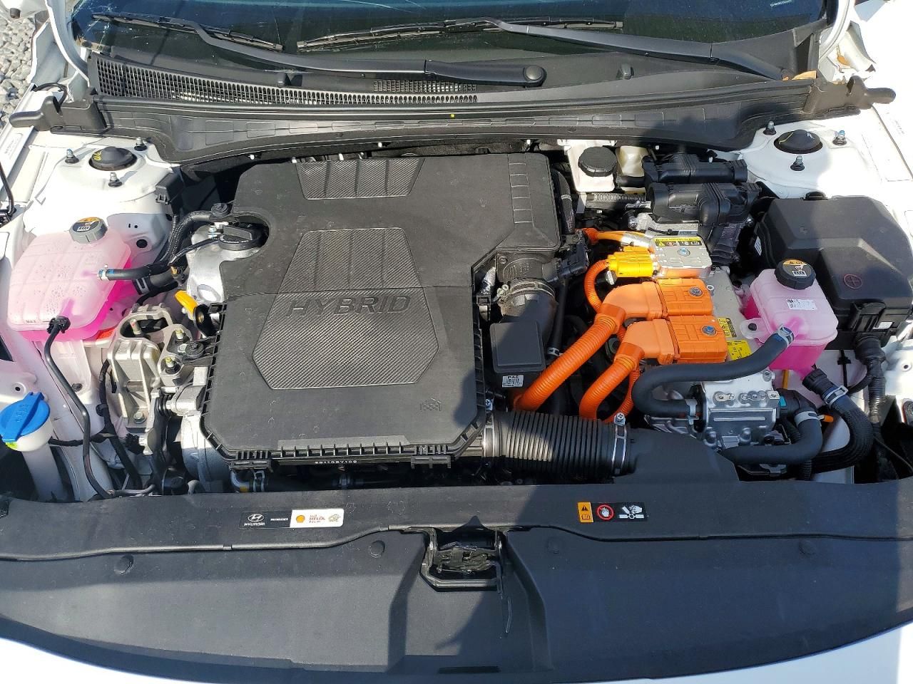 2025 Hyundai Elantra Blue