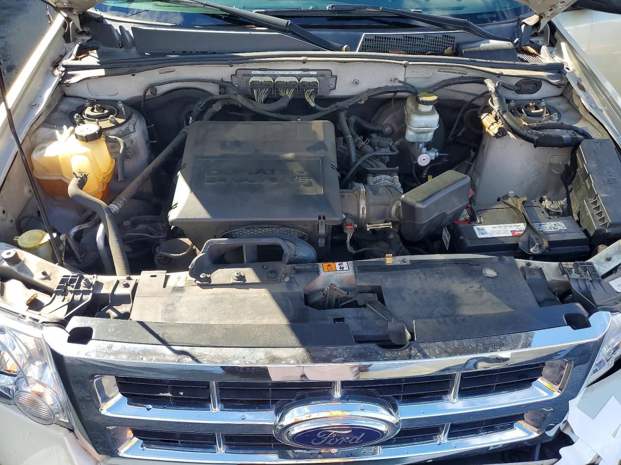 2010 Ford Escape xlt